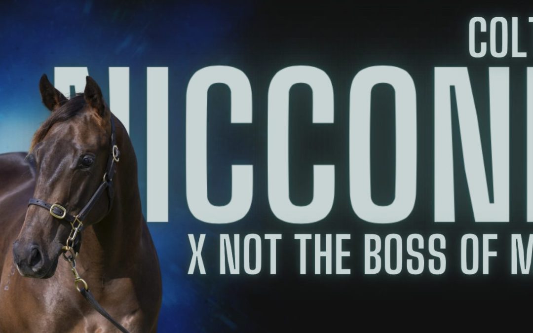 Nicconi x Not The Boss of Me